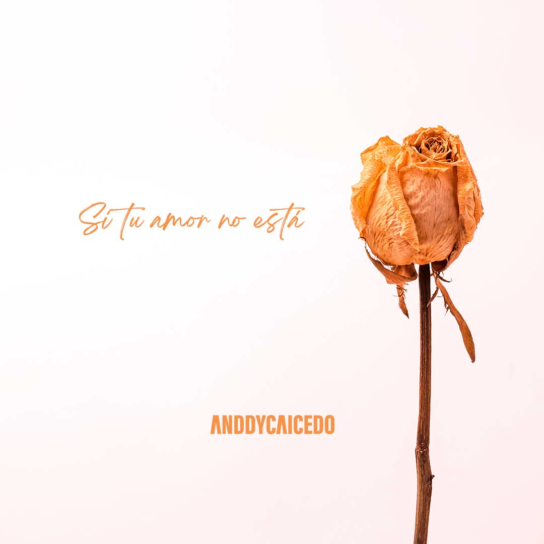 lo-que-se-siente-si-tu-amor-no-esta Bienvenidos - Anddy Caicedo