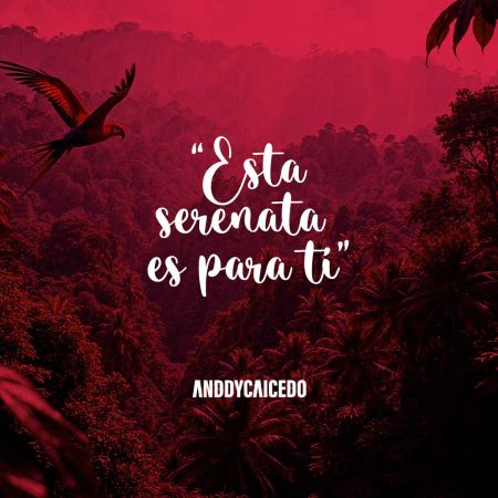 0b49dbafa2c4043d692b197f5c1135ba  Cuando el coraz&oacute;n necesita hablar - Y la pena no lo deja - Anddy Caicedo